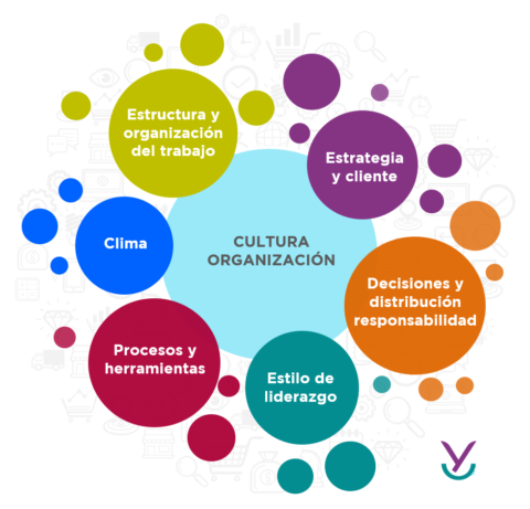 Diagnósticos De Cultura Barrett Values | Yolanda Campillo